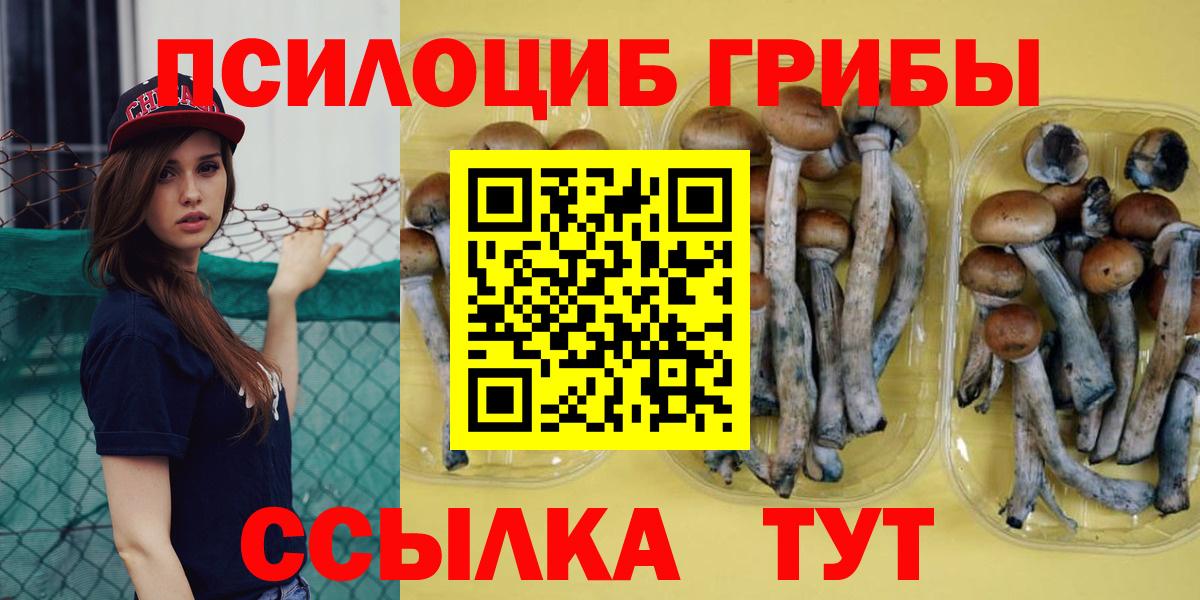 Псилоцибиновые грибы мицелий Бузулук